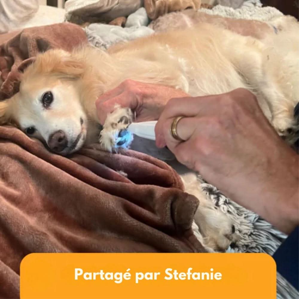 Glevato | SilentPet Trimmer – Silent Fur Trimmer for Sensitive Areas on Dogs & Cats