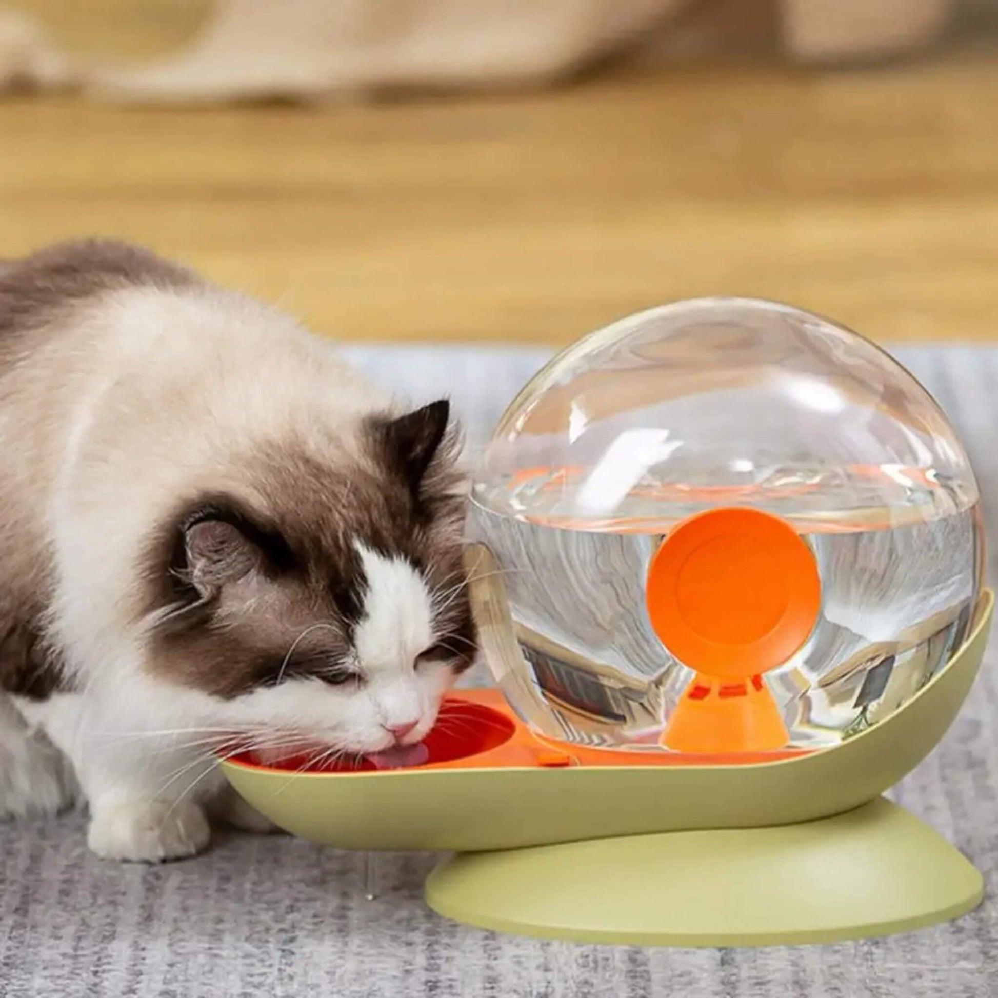 Electricity-Free Cat Water Fountain Snail