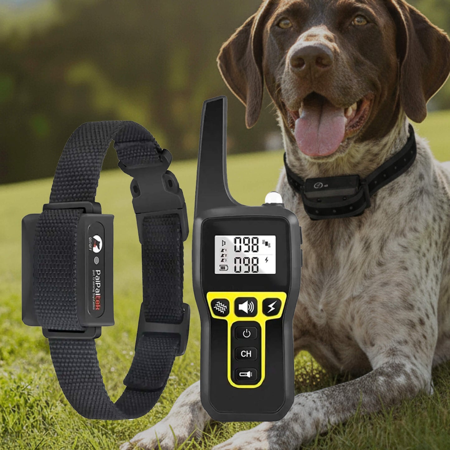 Glevato | 1000m Waterproof Dog Training Collar | Rechargeable, Remote Control & Adjustable for Small, Medium, and Large Dogs