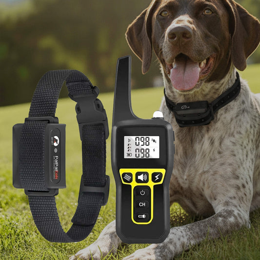 Glevato | 1000m Waterproof Dog Training Collar | Rechargeable, Remote Control & Adjustable for Small, Medium, and Large Dogs