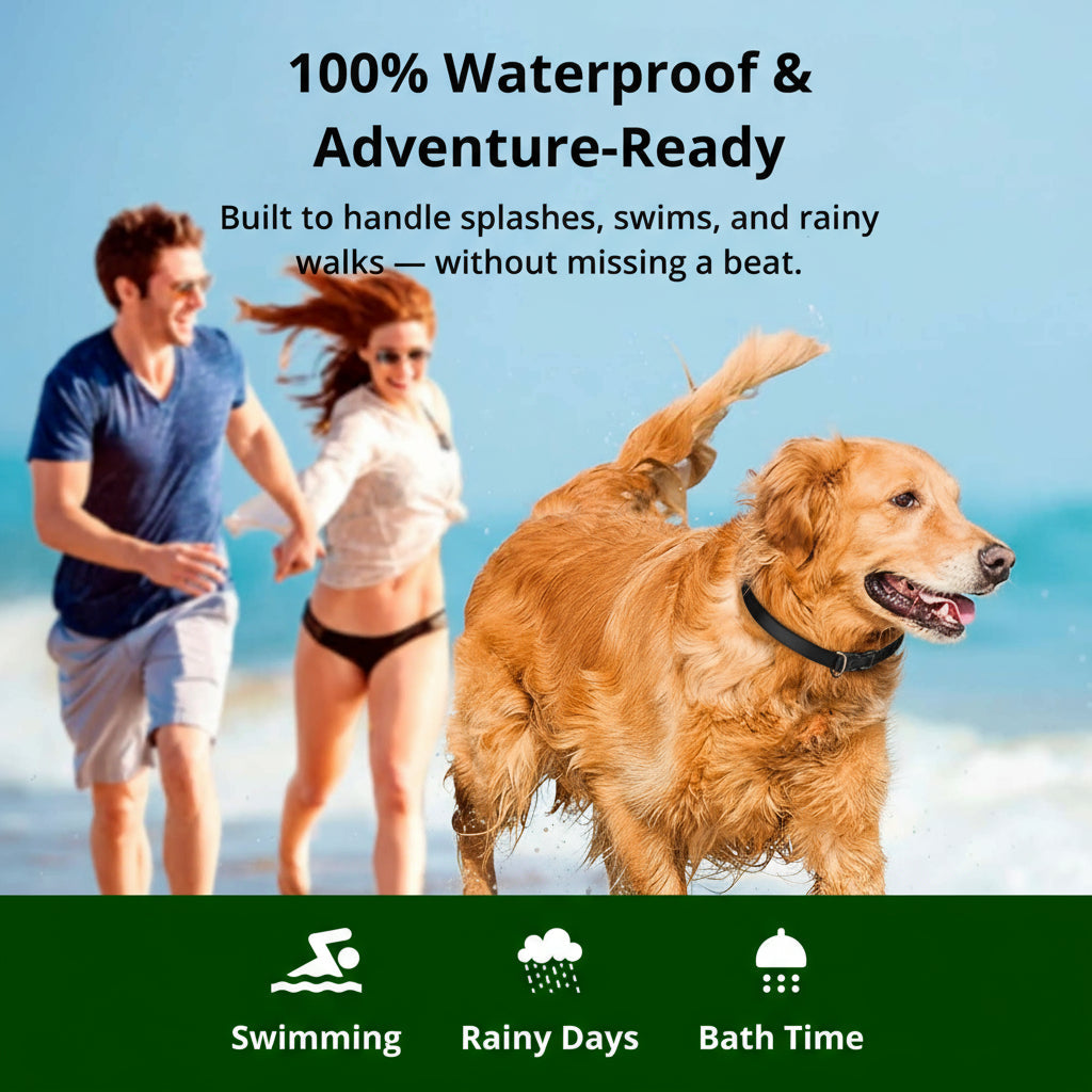 Glevato | 1000m Waterproof Dog Training Collar | Rechargeable, Remote Control & Adjustable for Small, Medium, and Large Dogs