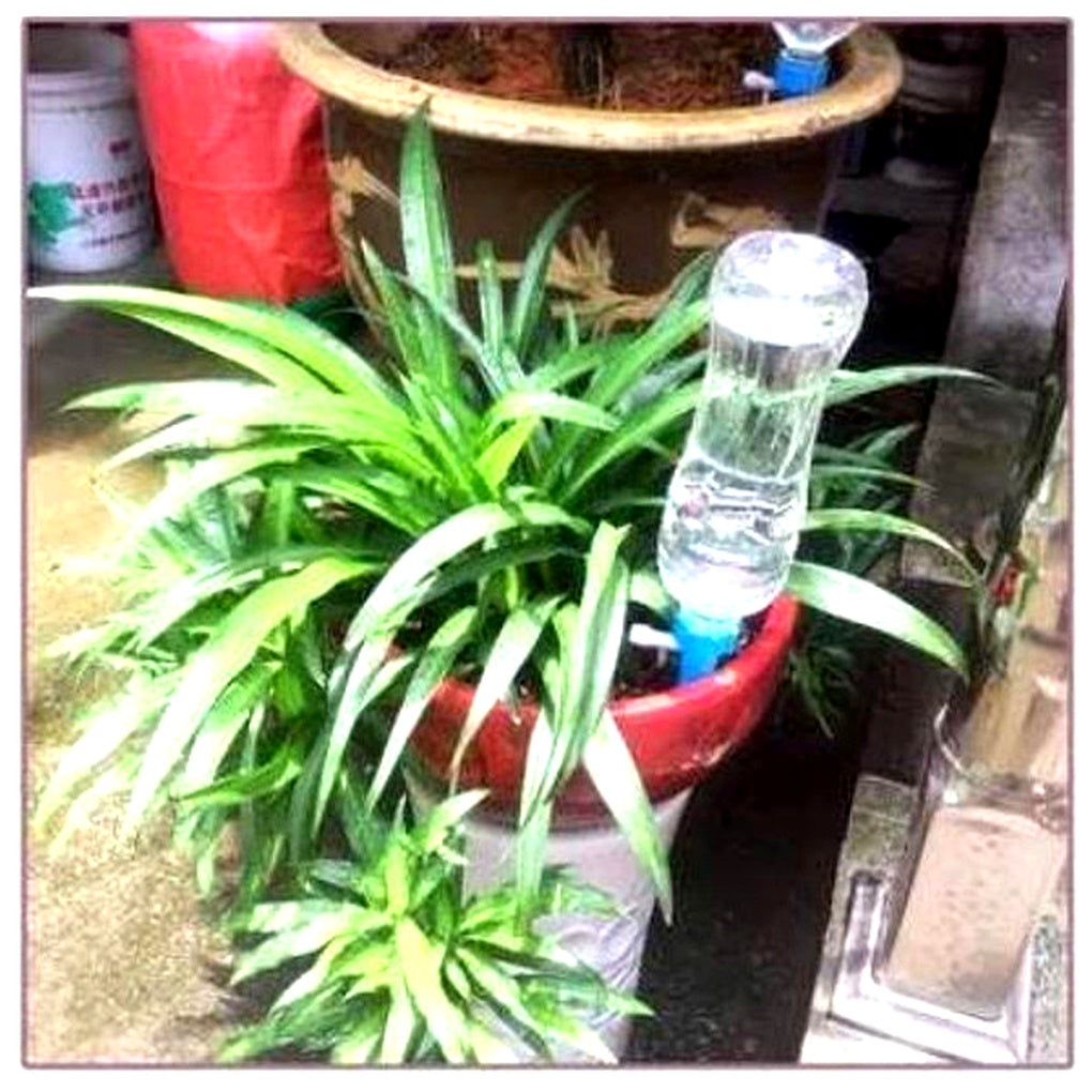 Glevato | Adjustable Plant Watering Spikes for Garden & Home Use