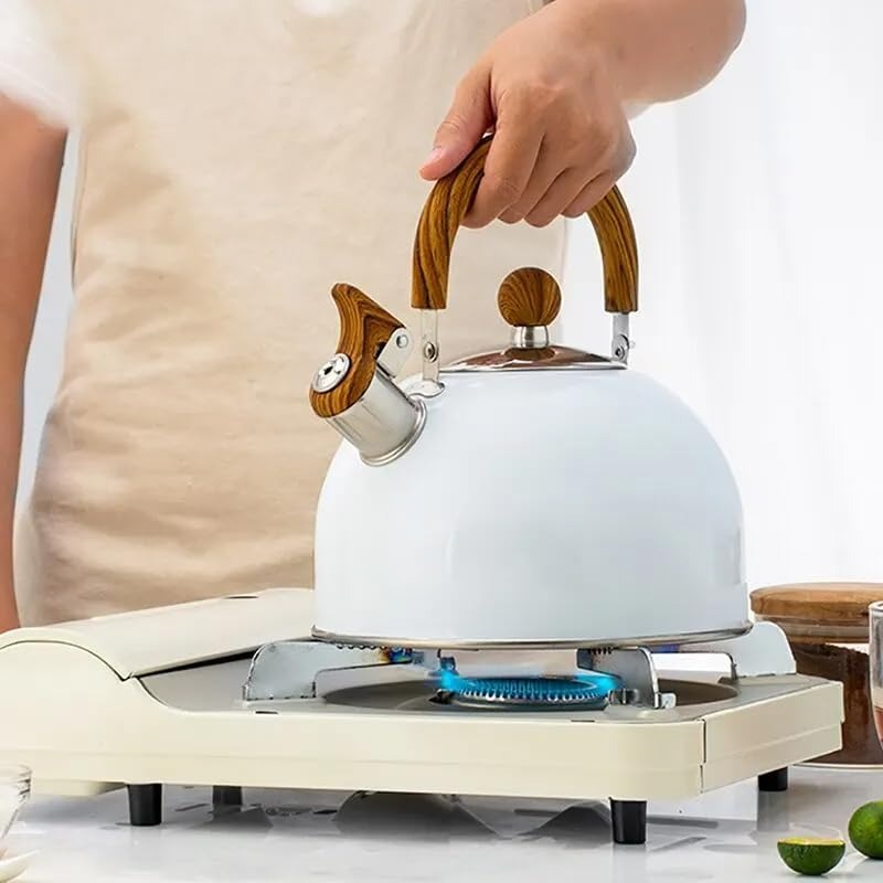 Glevato | Adjustable Stainless Steel Kettle | With Whistle | 2.5L/3L