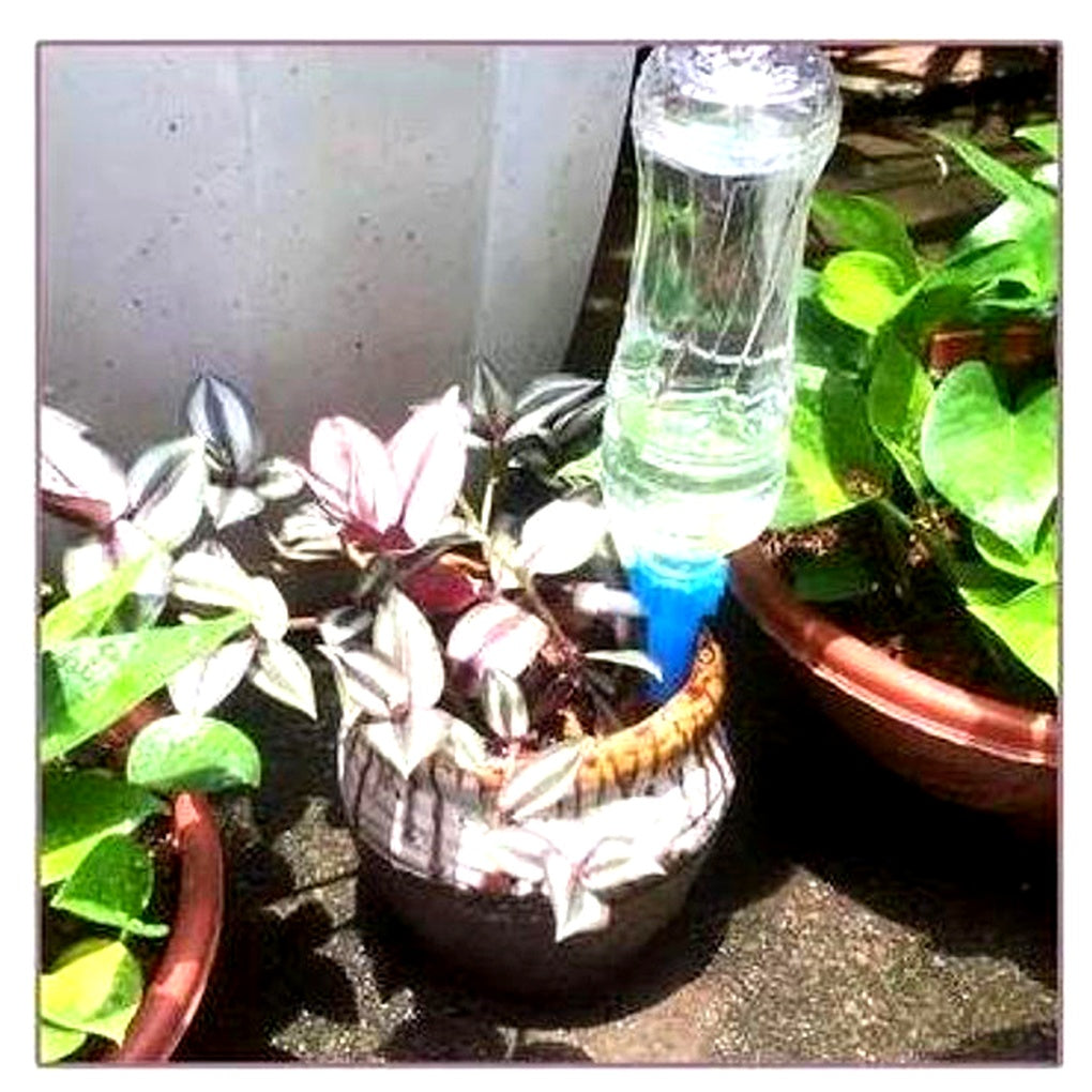 Glevato | Adjustable Watering Spikes for Plants - Garden Self Waterer