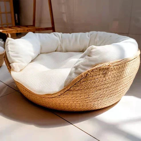 Glevato | Bamboo Bed