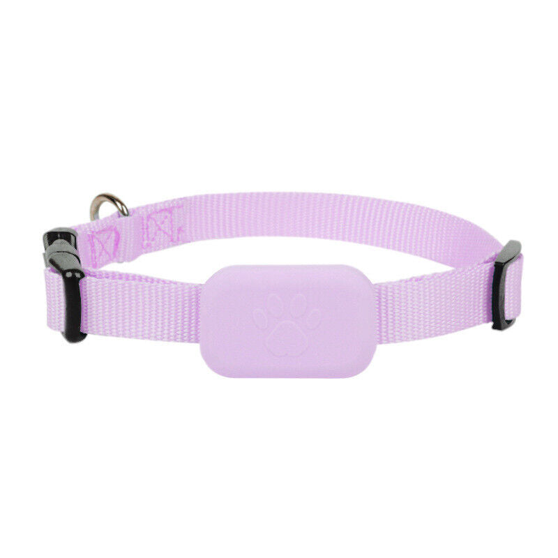 Glevato | Cat GPS Tracker Collar Real-time Location