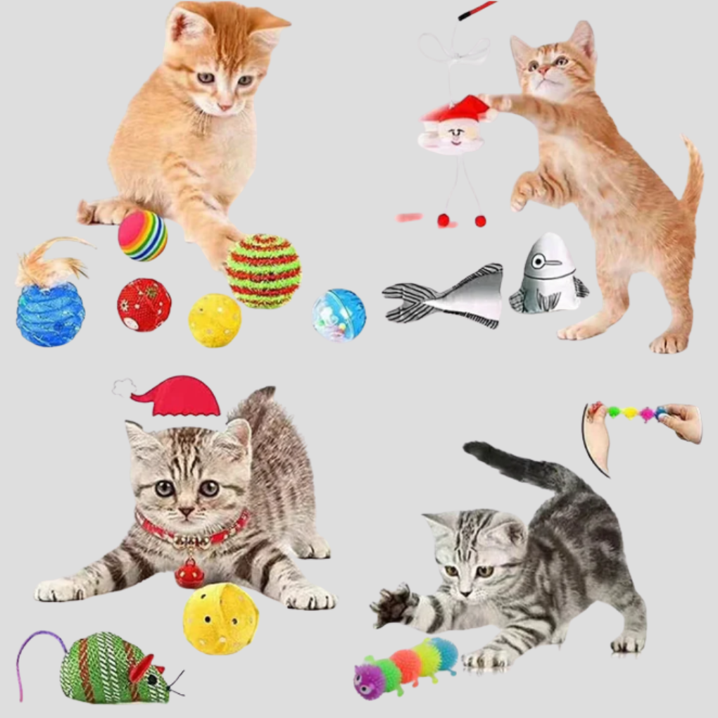 Glevato | Cat Toy Advent Calendar 24-Day Countdown Surprise Kit