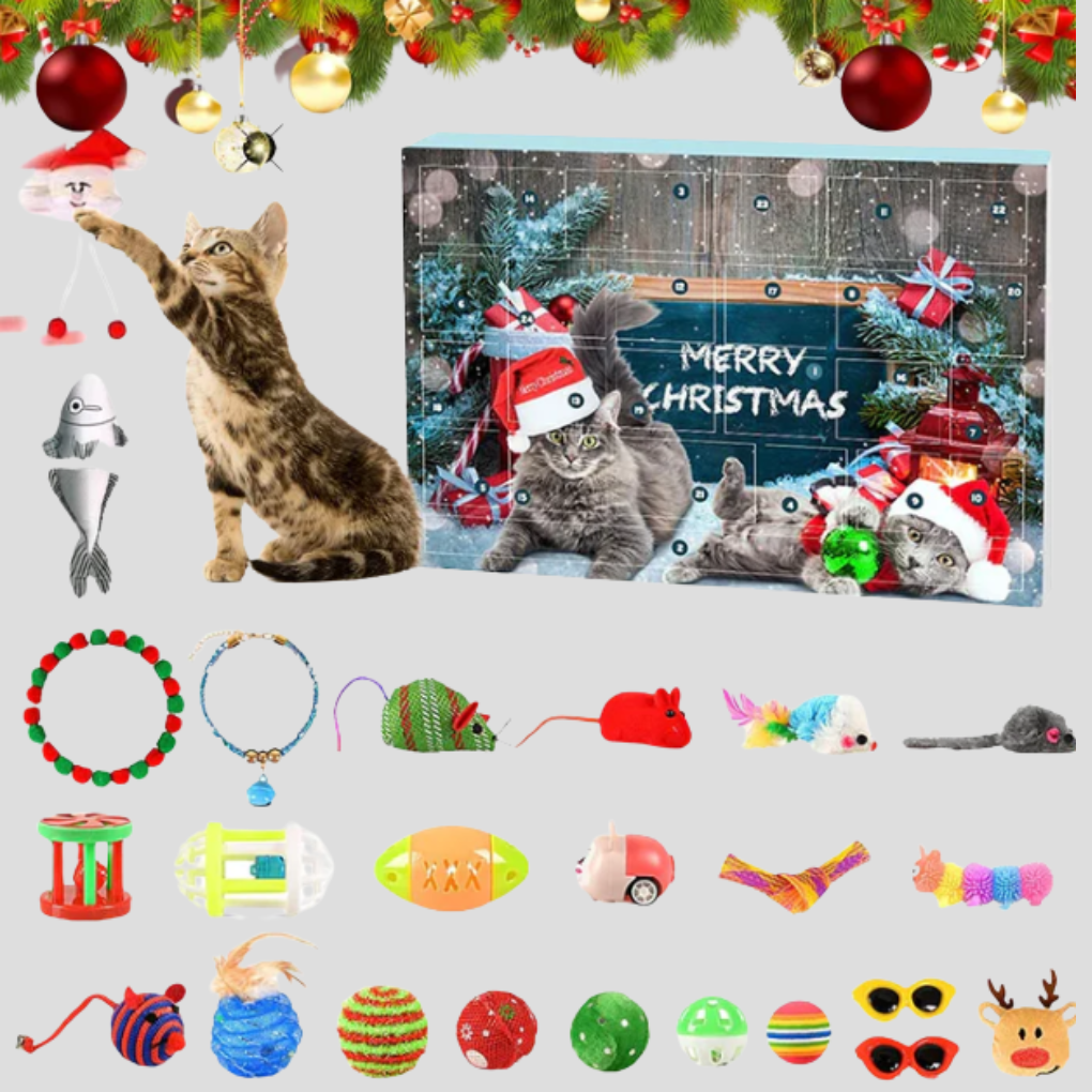 Glevato | Cat Toy Advent Calendar 24-Day Countdown Surprise Kit