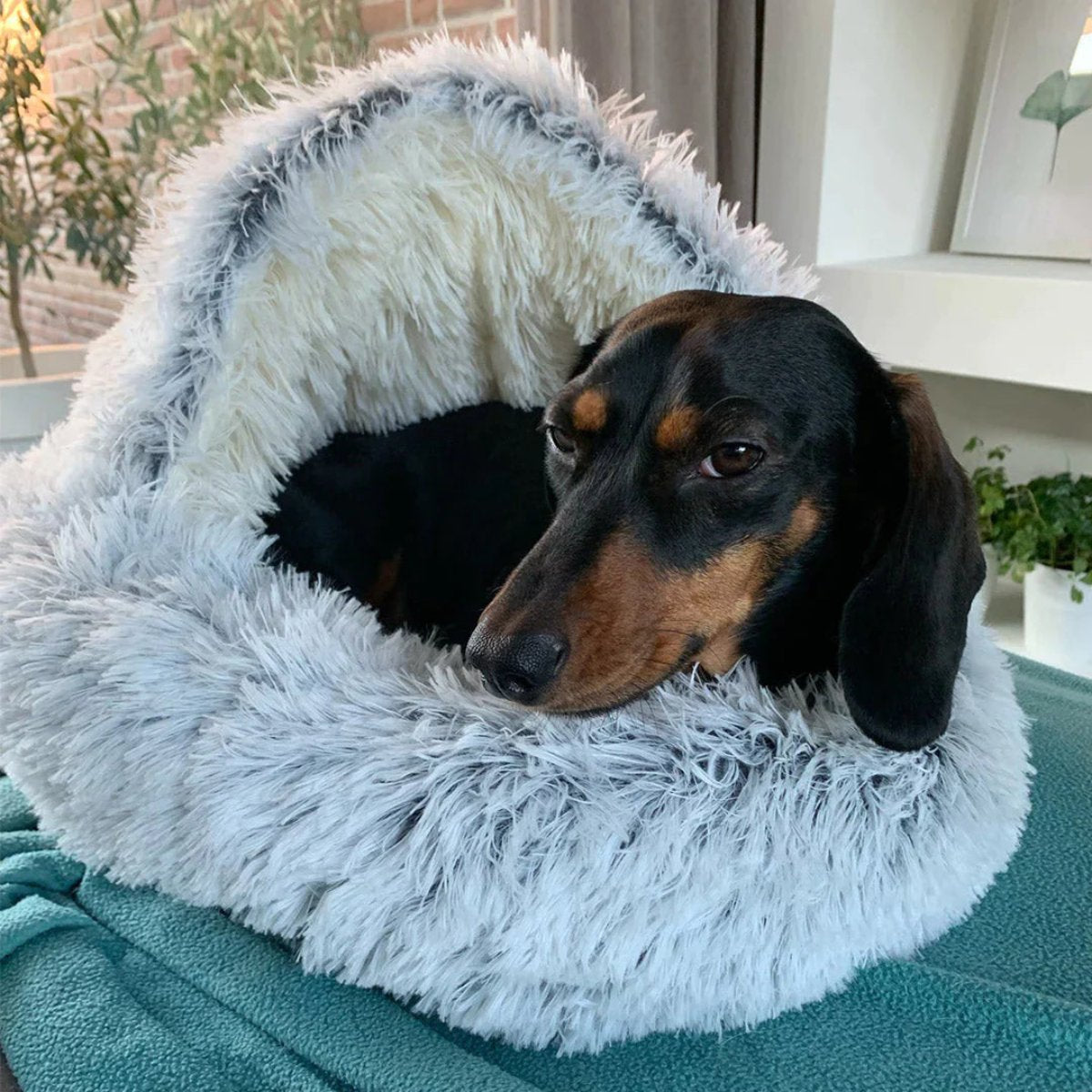 Glevato | Cozy Cave Pet Bed | Calming & Comfortable Dog Bed for Deep Relaxation