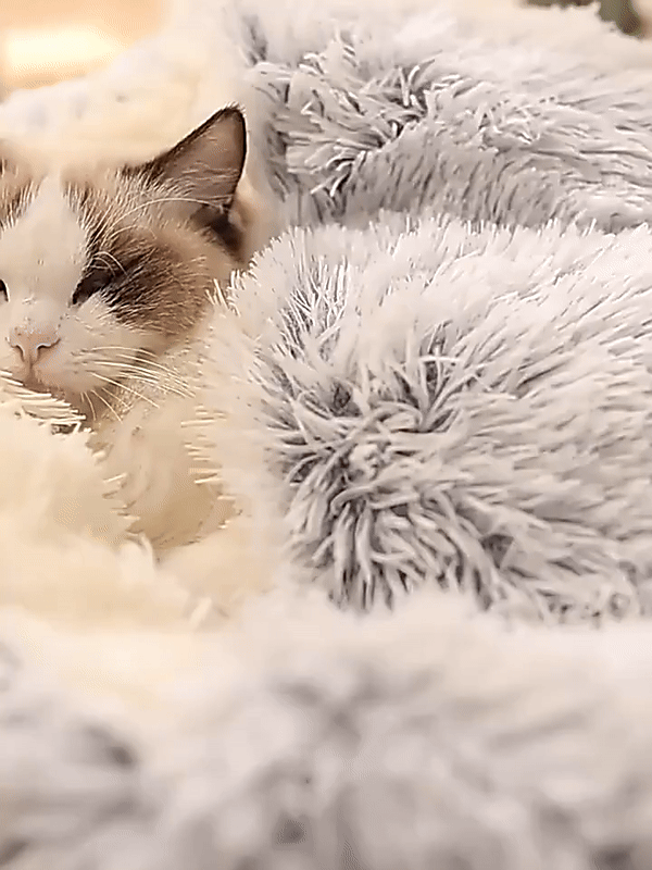 Glevato | Cozy Cave Pet Bed | Calming & Comfortable Dog Bed for Deep Relaxation