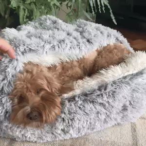 Glevato | Cozy Cave Pet Bed | Calming & Comfortable Dog Bed for Deep Relaxation