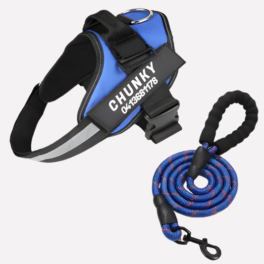 Glevato | Customizable Anti-Pull Dog Harness