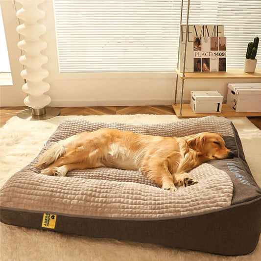 Glevato | Dog Bed Thick Orthopedic Cushion with Spine Support