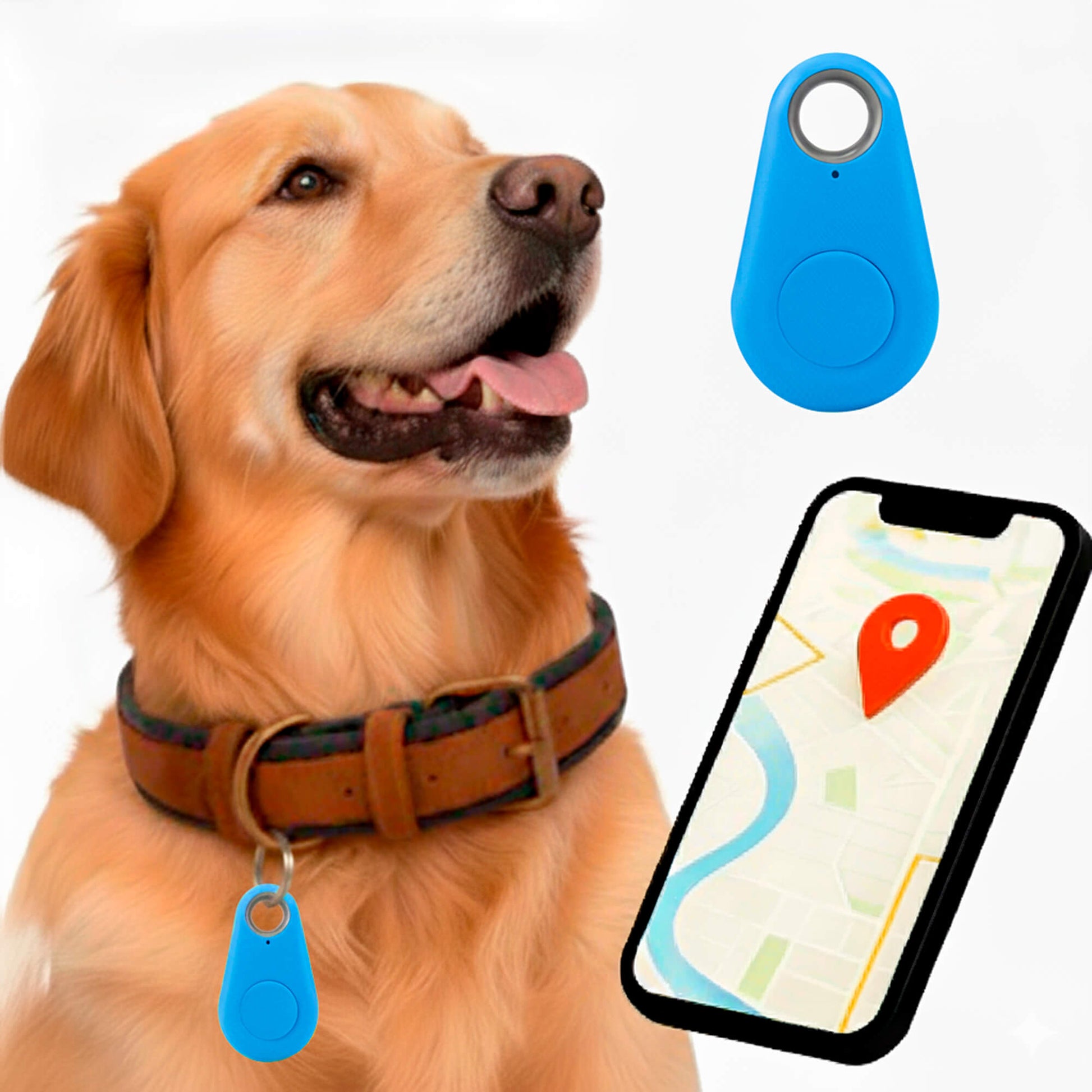 Glevato | GPS Dog Tracker | Waterproof, Real-Time Location & Safety Zone Alerts for Outdoor Adventures
