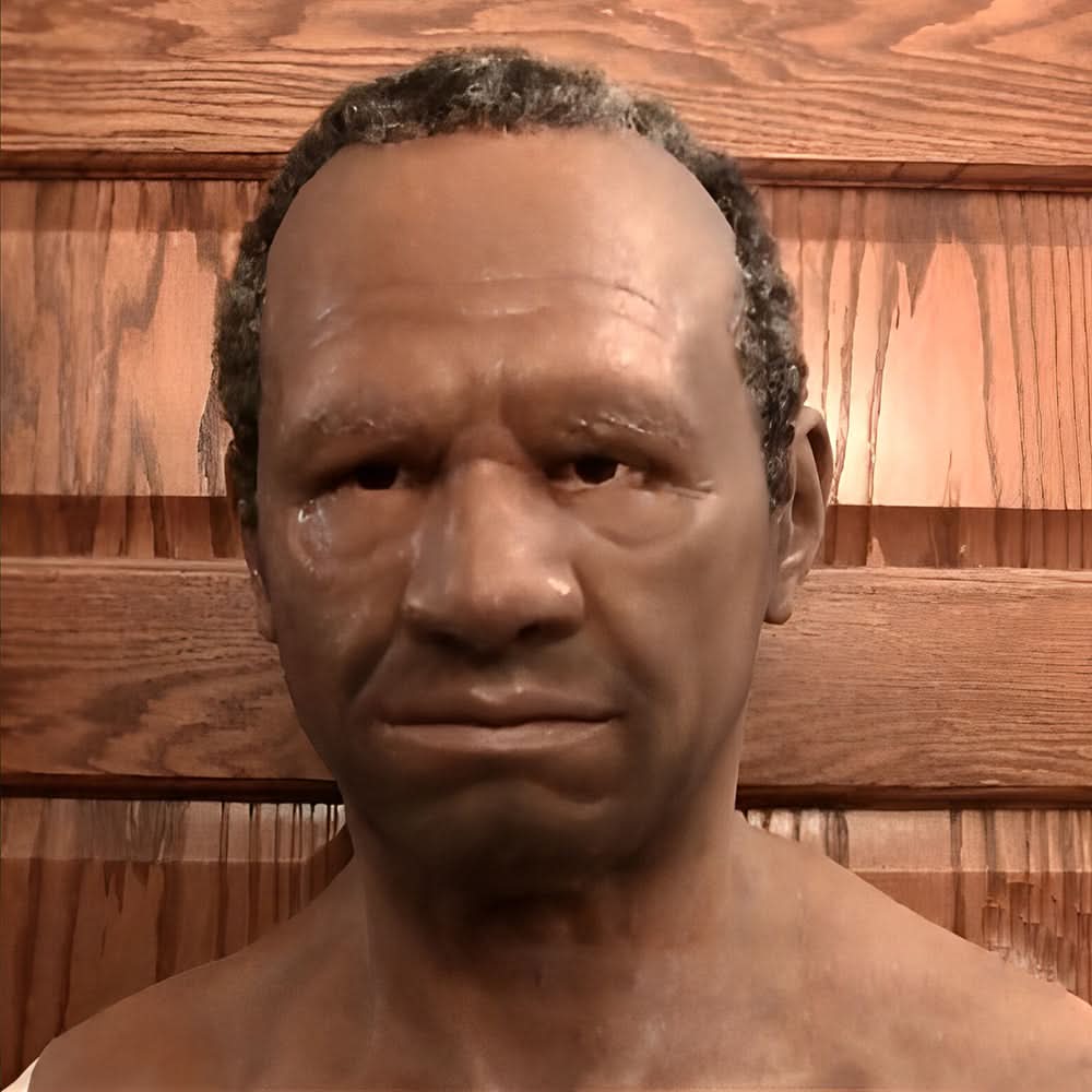 Glevato | Halloween Latex Mask | Realistic and Elastic | Adult