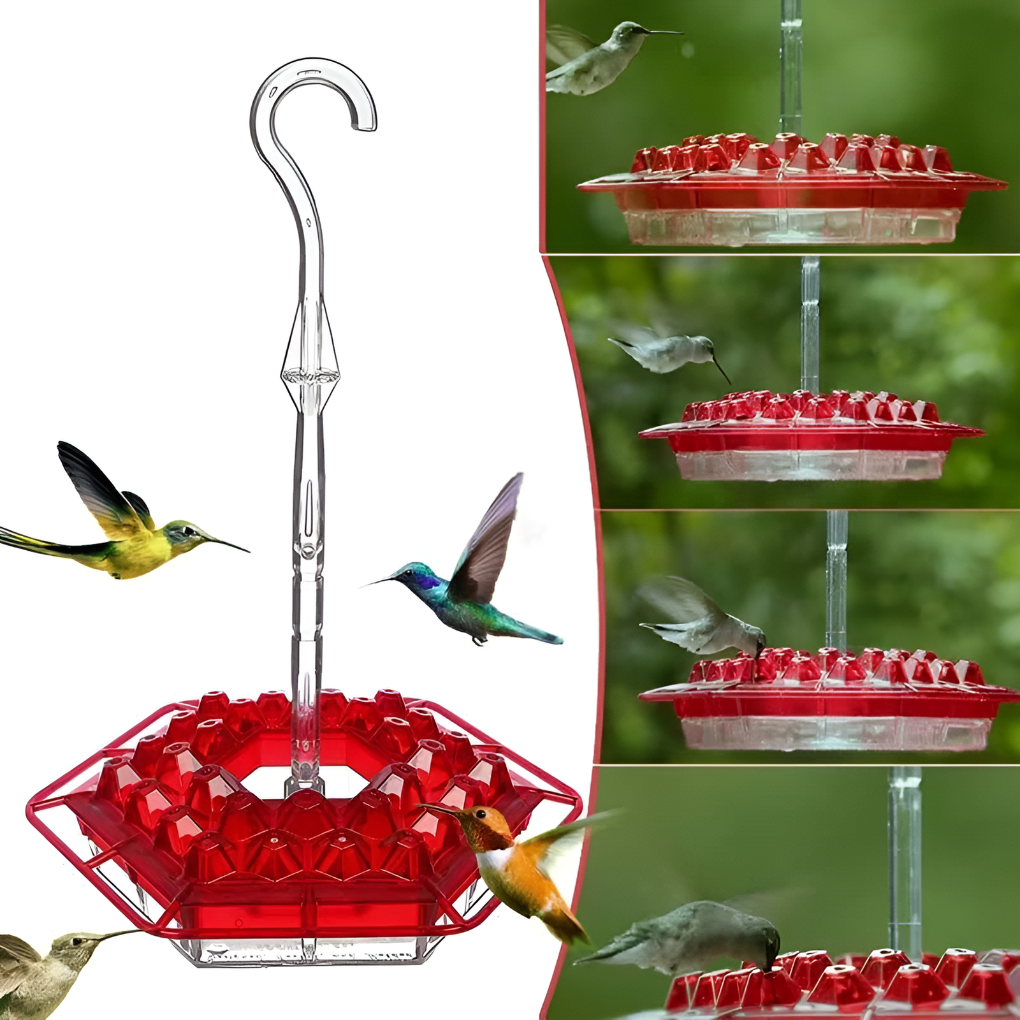 Glevato | Hummingbird Feeder with Ant Moat & Bee Guards