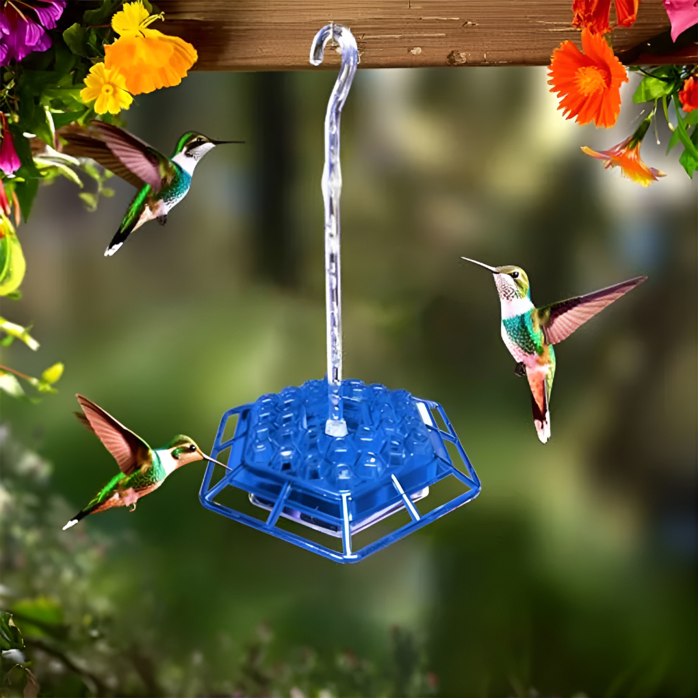 Glevato | Hummingbird Feeder with Ant Moat & Bee Guards