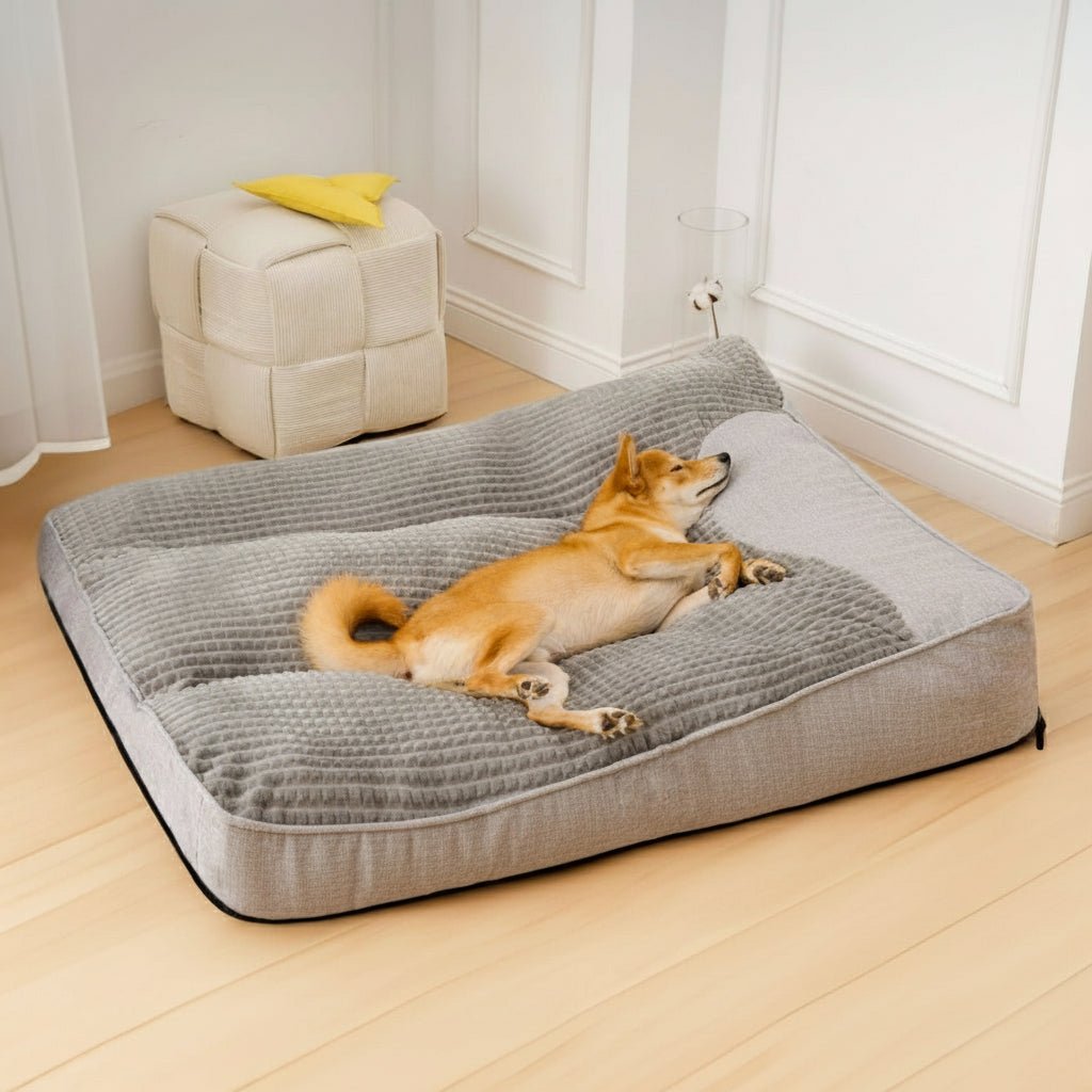 Glevato | Large Scratch-Resistant Dog Bed with Orthopedic Back Support