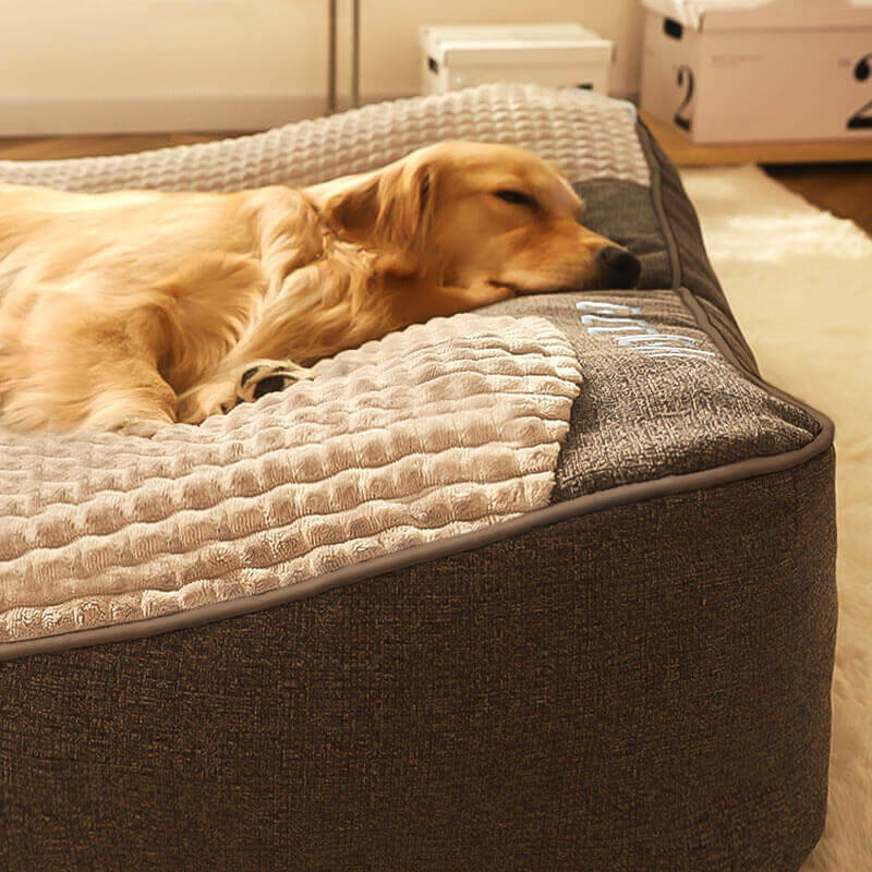 Glevato | Large Scratch-Resistant Dog Bed with Orthopedic Back Support