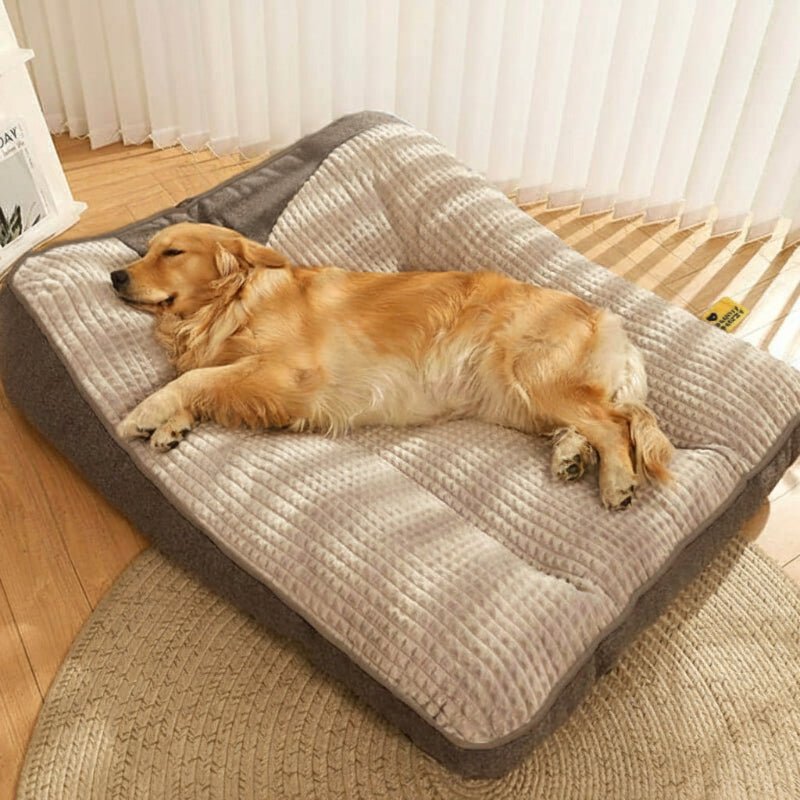 Glevato | Large Scratch-Resistant Dog Bed with Orthopedic Back Support