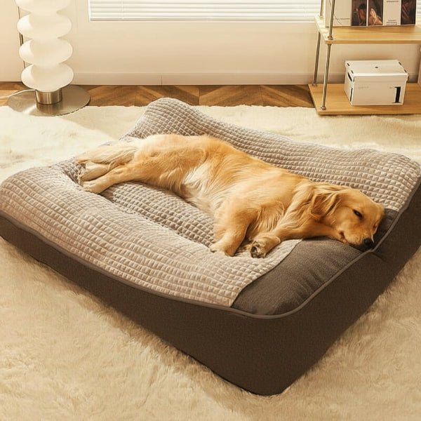 Glevato | Large Scratch-Resistant Dog Bed with Orthopedic Back Support
