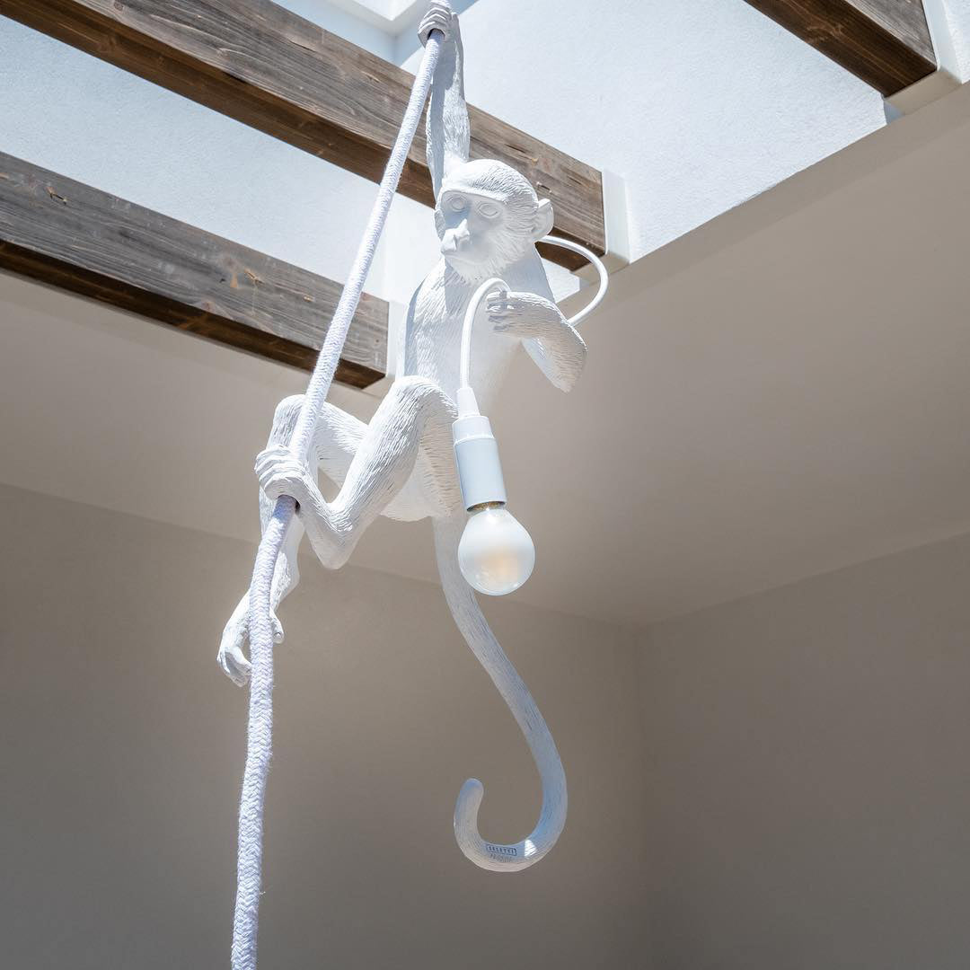Glevato | Monkey Pendant Light | Sculptural Design Object