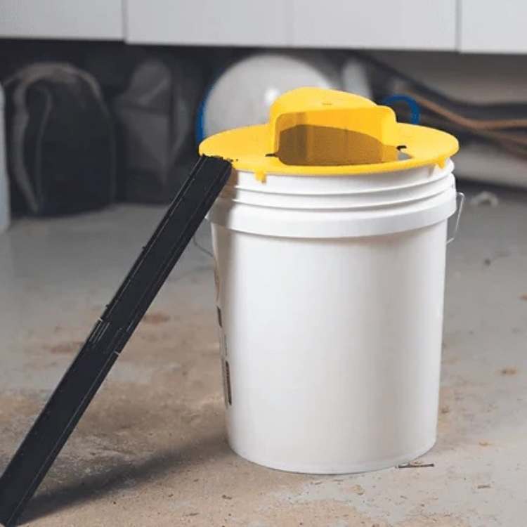 Glevato | Mouse Trap Multi-Catch | Automatic Tilting Function | Safe for Children and Pets