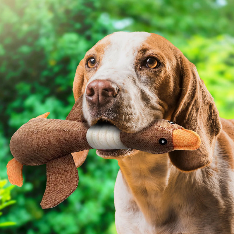 Glevato | Plush Duck Dog Toy with Tail & Beak