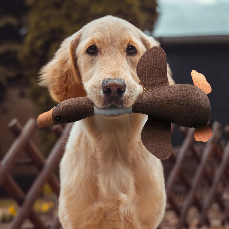 Glevato | Plush Duck Dog Toy with Tail & Beak