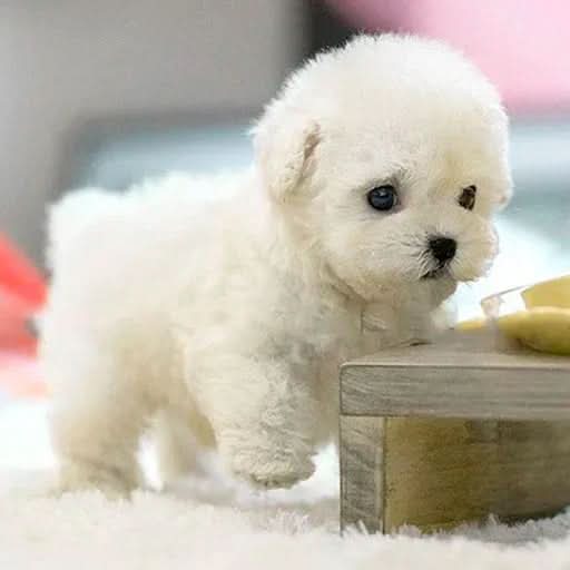 Glevato | Realistic Dog for Children that Responds to Touch