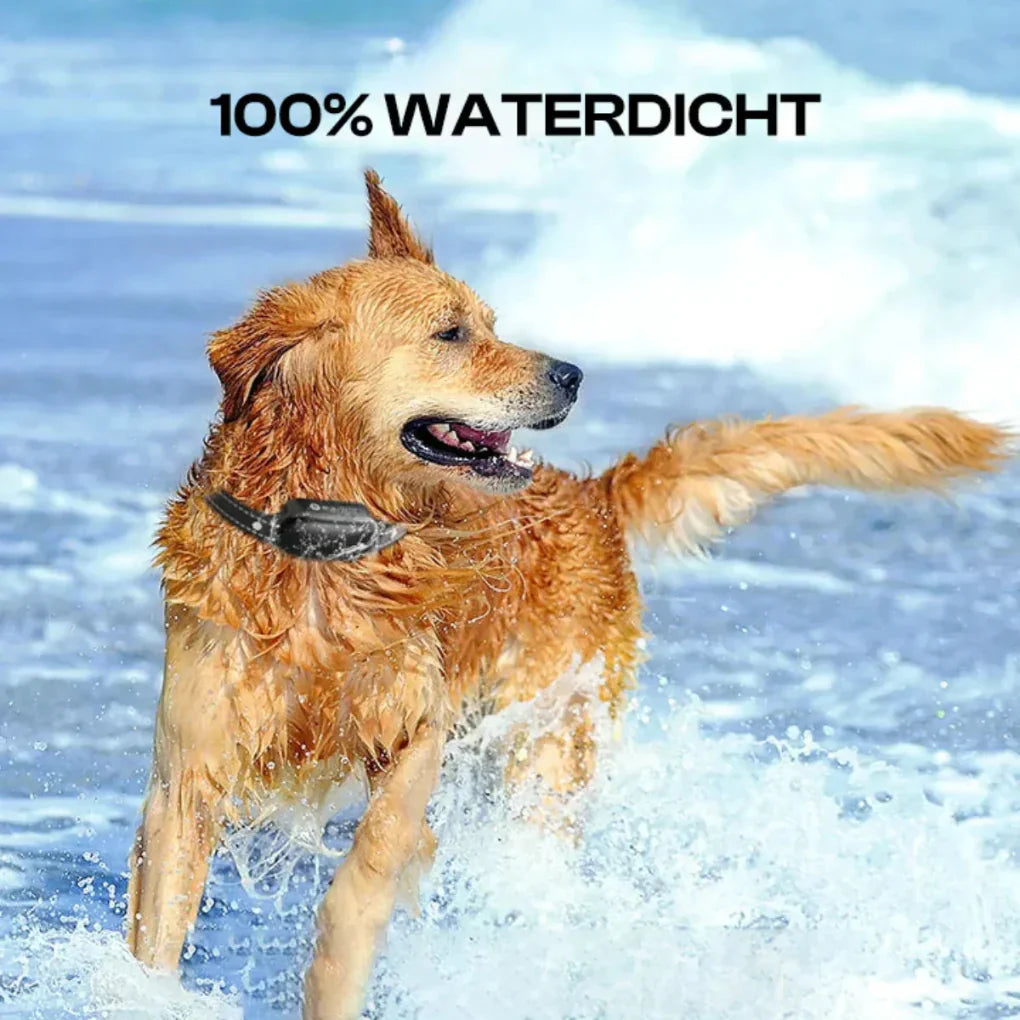 Glevato | Remote Dog Training Collar with Long Range