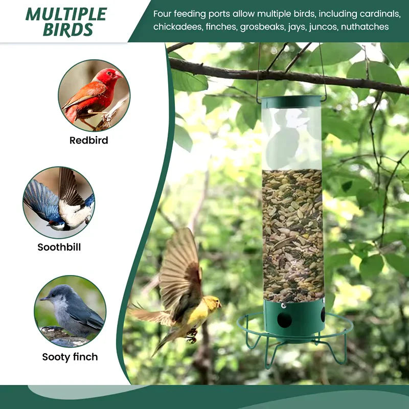 Glevato | Squirrel Proof Bird Feeder with Multiple Feeding Ports