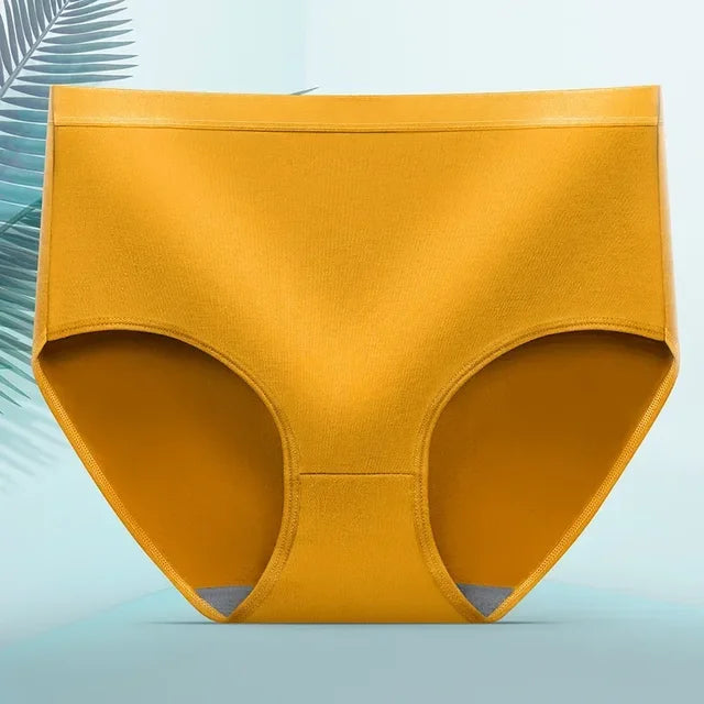 Glevato | Women's Leak-Proof Period Underwear