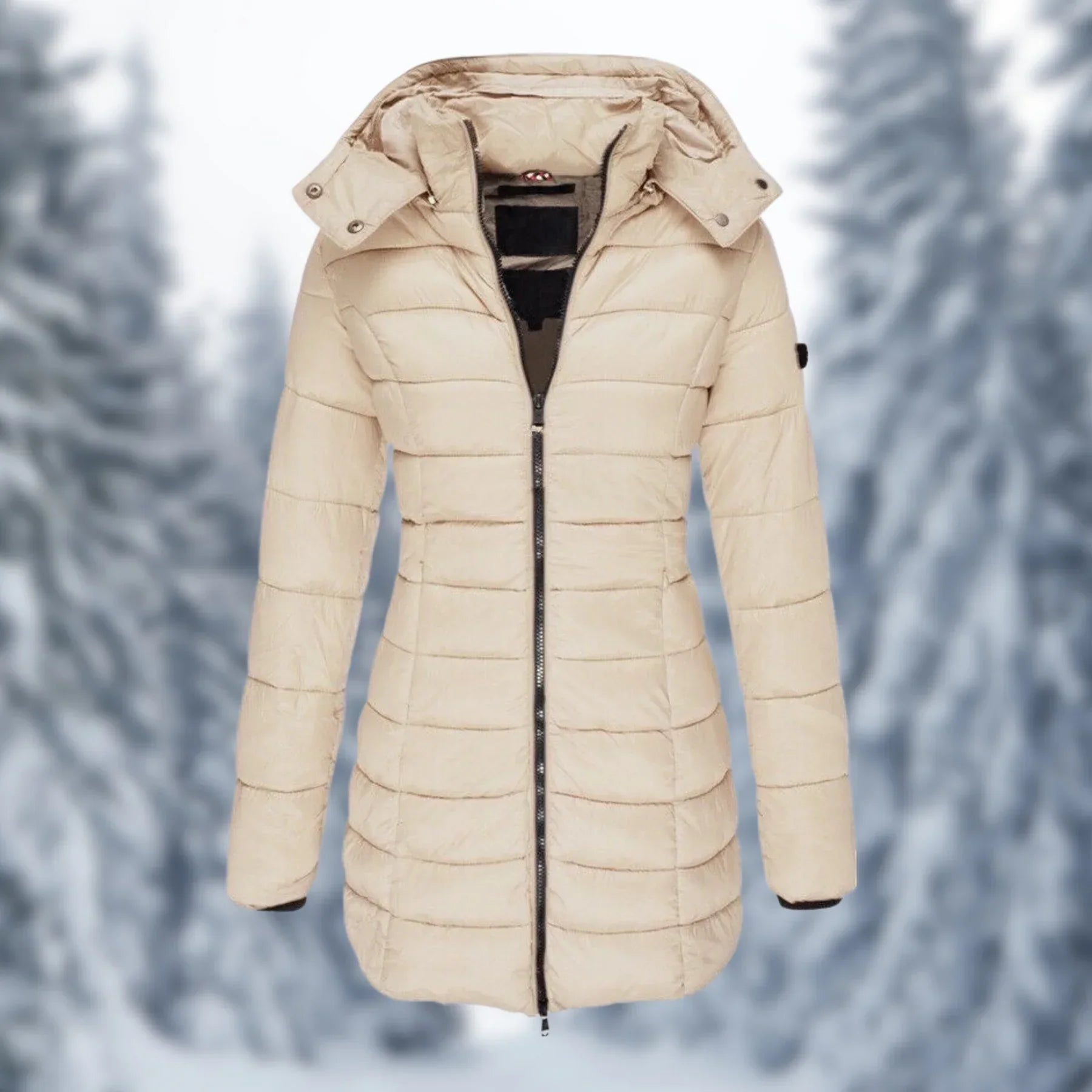 Glevato | Women's Padded Mid-Length Winter Coat with Hood