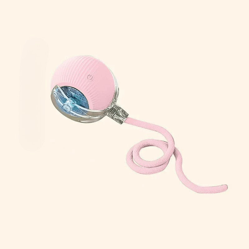PLAYPET Interactive Dog Ball – Rechargeable Bouncing Ball