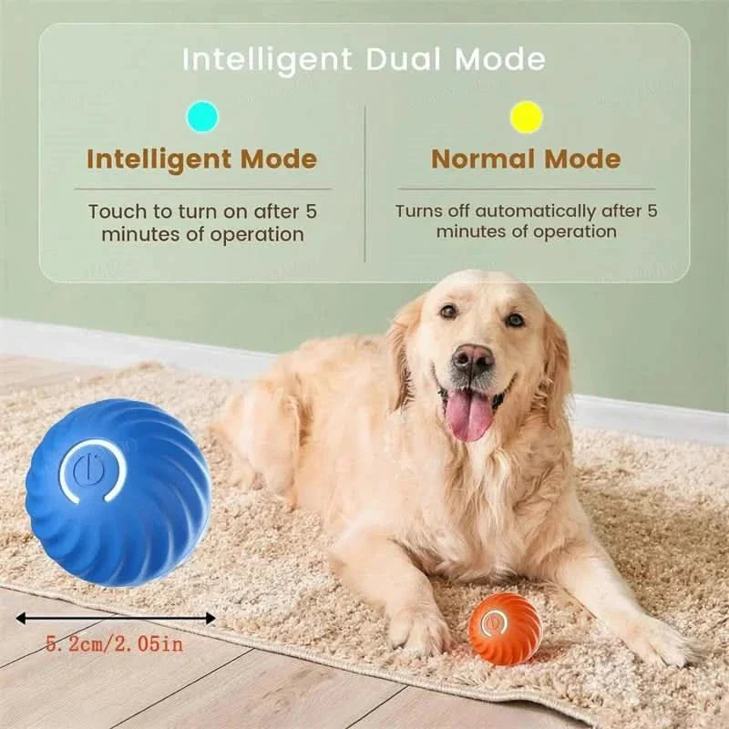 PLAYPET Interactive Dog Ball – Rechargeable Bouncing Ball