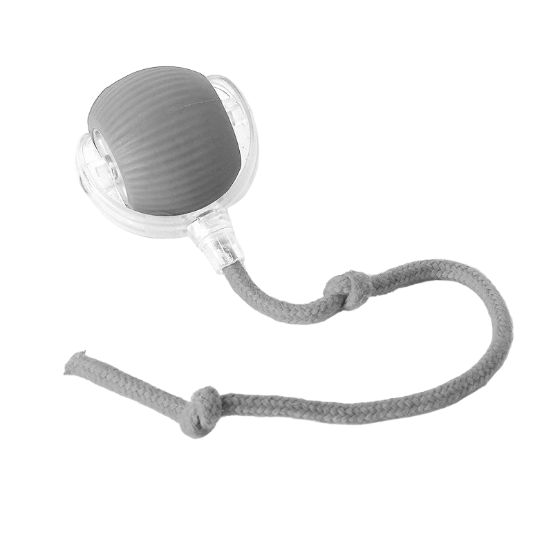 PLAYPET Interactive Dog Ball – Rechargeable Bouncing Ball